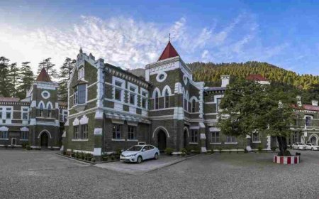 बनभूलपुरा मामले में अब्दुल मलिक को जमानत; क्या है पूरा विवाद?