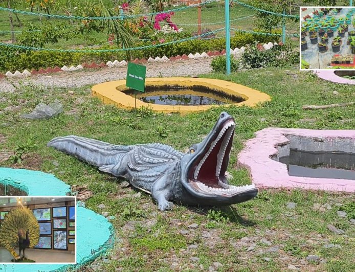 देहरादून का नया पर्यटकीय आकर्षण: जोली ग्रांट वन अनुसंधान रेंज की अद्भुत विशेषताएं