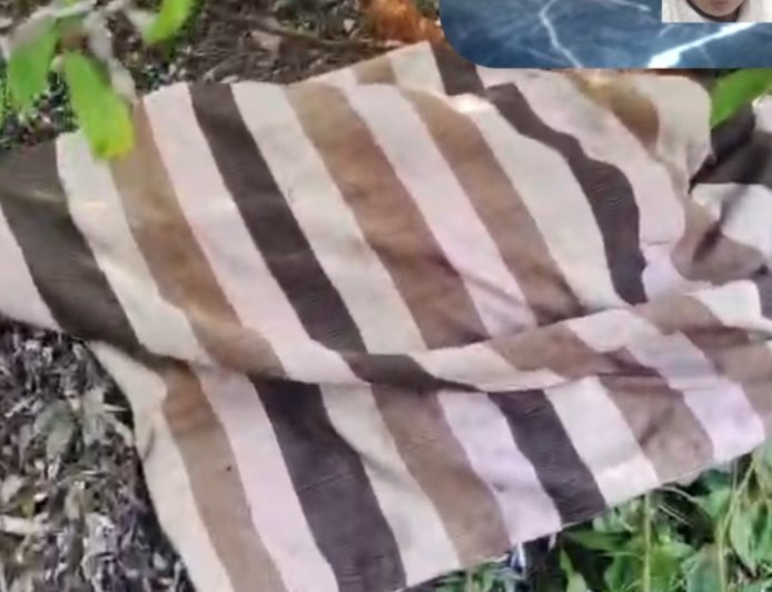 नैनीताल में आदमखोर गुलदार का कहर: महिला की हत्या से ग्रामीणों में दहशत