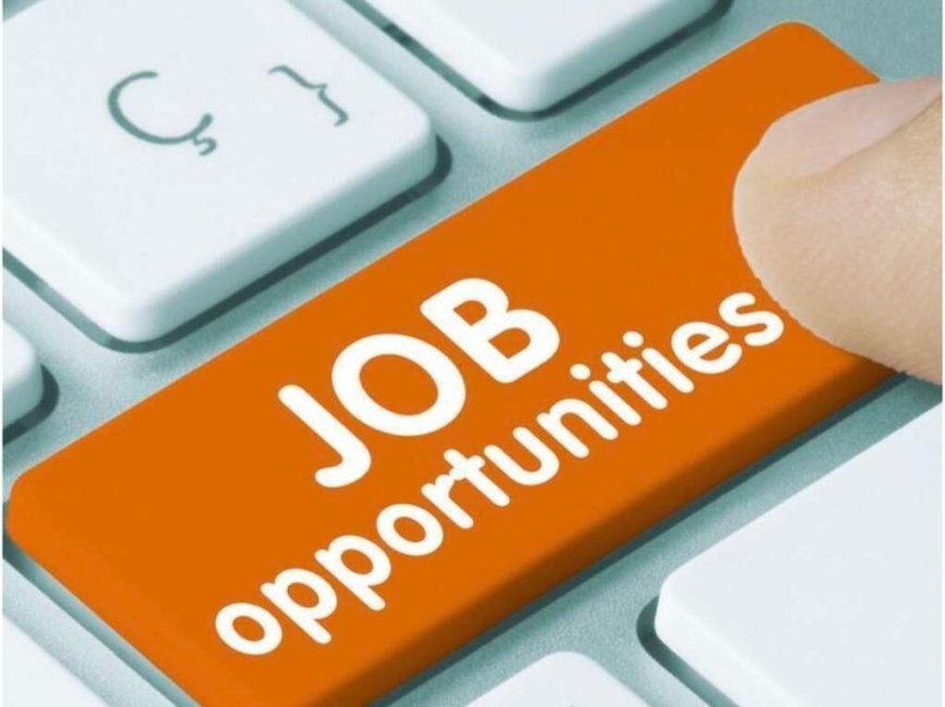 जेवर एयरपोर्ट में बंपर भर्तियां: 10वीं-12वीं पास और ग्रेजुएट युवाओं के लिए सुनहरा अवसर