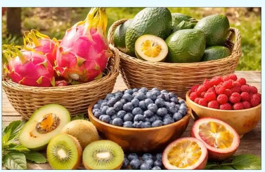 बिना बिजली सुखाने की जियोथर्मल तकनीक से किसानों को मिलेगा बड़ा सहारा