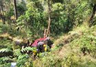 उत्तराखंड में दर्दनाक सड़क हादसा: भवाली घाट के पास 5 की मौत