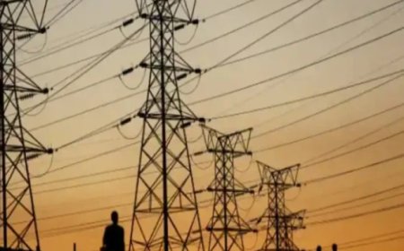 रुड़की में बिजली चोरी के खिलाफ कड़ी कार्रवाई, बर्फ फैक्ट्री संचालक पर 2.30 करोड़ का जुर्माना