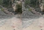 उत्तराखंड में राहत उपायों की कमी: पिथौरागढ़ में बारिश से पर्यटकों का फंसा होना