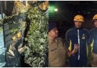 नैनीताल में भारी बारिश के चलते मकान पर गिरा विशाल पेड़, रेस्क्यू ऑपरेशन से बचाए गए लोग