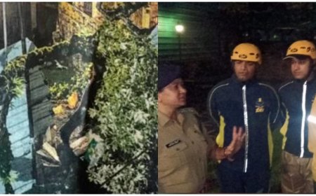 रात के अंधेरे में गूंजी जोरदार आवाज… मकान पर गिरा विशाल पेड़, अंदर फंस गए लोग