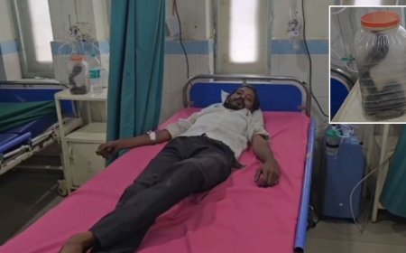 पहले इसे संभाल लो… कोबरा के काटने के बाद युवक ने जो किया, अस्पताल में हर कोई रह गया दंग