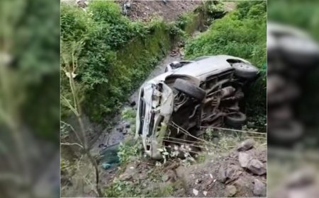 नैनीताल में कार दुर्घटना: 20 फीट गहरी खाई में गिरने से चालक और पालतू कुत्ते की जान बची