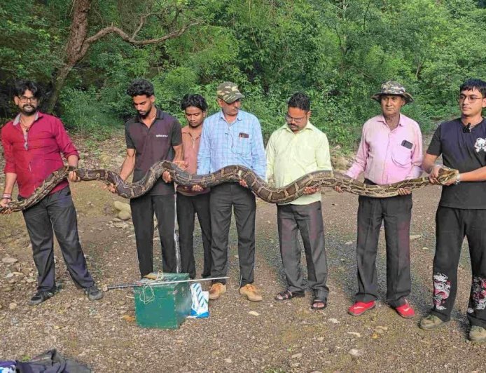 उत्तराखंड में मिला 18 फीट लंबा विशालकाय अजगर, जानें क्या है इसके पीछे की कहानी