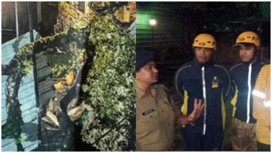 नैनीताल में भारी बारिश के चलते मकान पर गिरा विशाल पेड़, रेस्क्यू ऑपरेशन से बचाए गए लोग