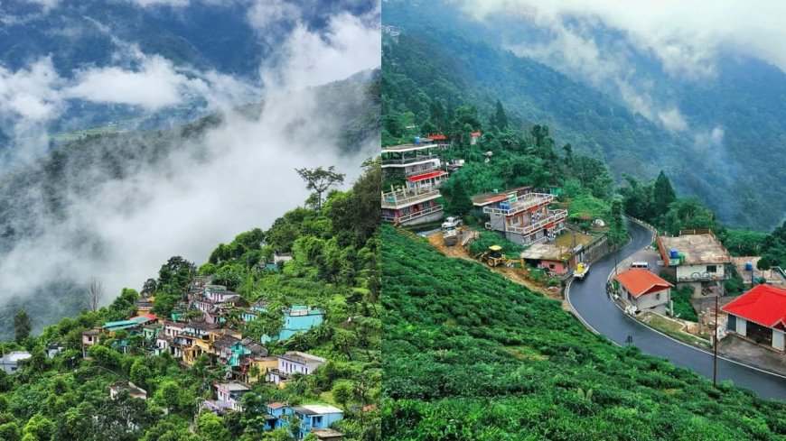 उत्तराखंड के पर्यटन को नई दिशा देगा मसूरी का जबरखेत मॉडल, आठ नए इको टूरिज्म डेस्टिनेशंस तैयार