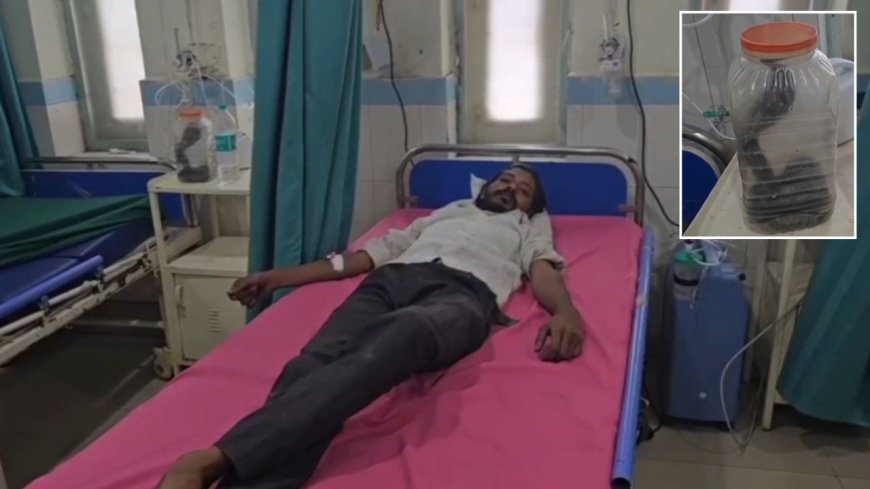 कोबरा के काटने के बाद युवक ने दिखाई बहादुरी, अस्पताल में मची खलबली