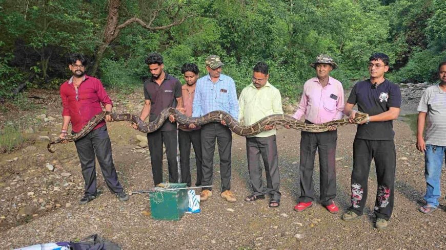 उत्तराखंड में मिला 18 फीट लंबा विशालकाय अजगर, जानें क्या है इसके पीछे की कहानी