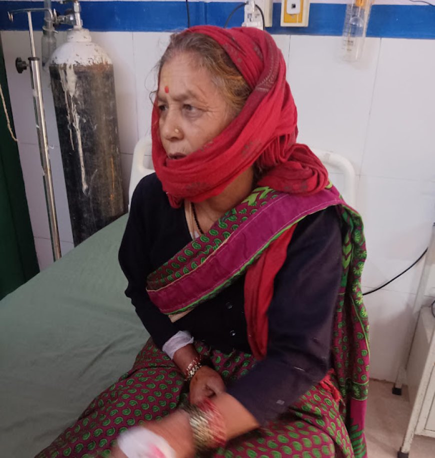 64 वर्षीया महिला ने गुलदार के हमले का बहादुरी से सामना किया, जान बचाई