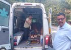 चम्पावत हादसा: बनलेख में हुई कार दुर्घटना, एक की मौत, तीन गंभीर घायल