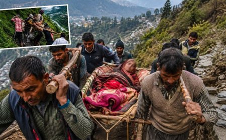 जब सड़क ही नहीं तो विकास कैसा? घायल महिला को 4 किमी डोली में ढोते रहे ग्रामीण, तस्वीरों ने खोली हकीकत
