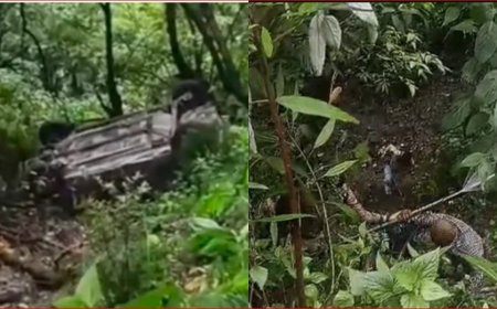 नैनीताल-हल्द्वानी मार्ग पर बड़ा हादसा: 300 मीटर गहरी खाई में गिरी कार, चार लोग घायल, मची अफरा-तफरी